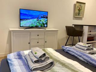 NEU wunderschöne Goldstadt Suite am Schlössle Zentrum Pforzheim - 2