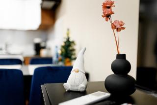 Apartamenty EUROPA - 2