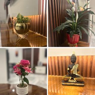 2Bhk Cozy HomeStay at filmnagar - 6