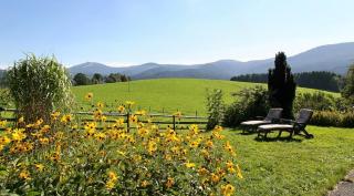 Ferienwohnungen am Arber - Haus Osser - - 0
