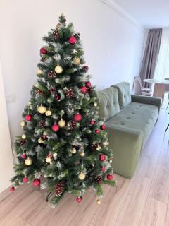 APARTAMENT PANORAMIC - 6