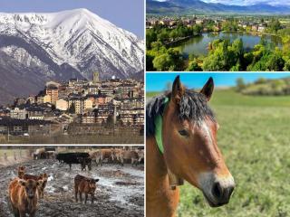 Cal Gatesques 4 - Puigcerdà - 9