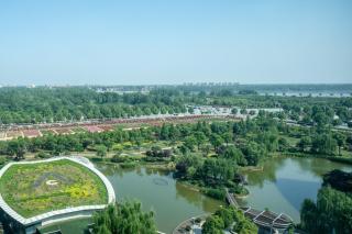 Holiday Inn Nanyang by IHG - 8