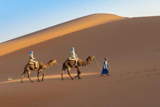 Desert Night Luxury Camp - 0