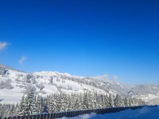 Apartment Hochkönigblick Pilzegg - Embach - 8