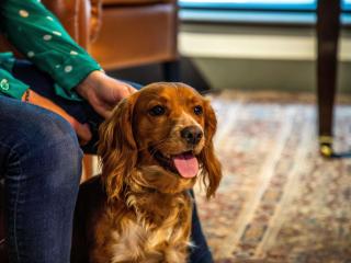 ibis Styles Glasgow Central - 1