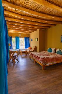 Nubra Ecolodge - 6