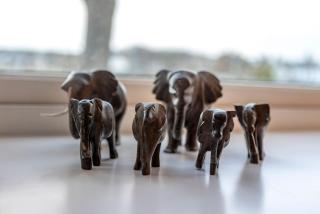 Golf Court No 5 - Elie - 2