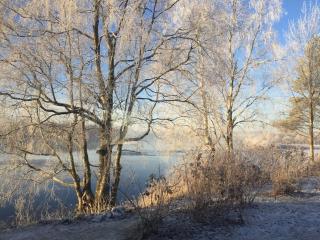 Easy living riverside in Arctic Circle - Rovaniemi - 4