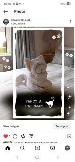 Blackrock Carole Ville Guesthouse - 7