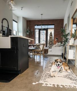 Pet Friendly Stylish Loft, Zilker Heart Of Austin - 3