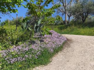 GrazieSole Agriturismo pietra - 2