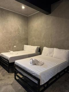 greyhouse moalboal - 6