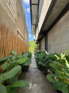 greyhouse moalboal - 1