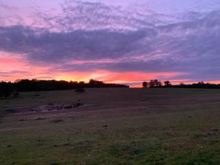 Luxury apartment-sleep5-parking-Wembley-Heathrow - 6