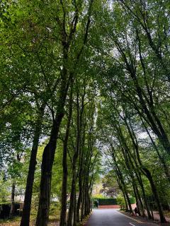 Luxury apartment-sleep5-parking-Wembley-Heathrow - 5