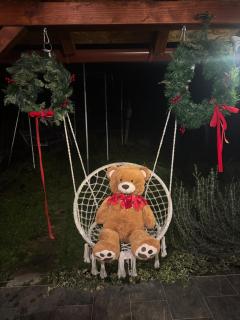 Holiday house On the riverside - Ogulin - 0