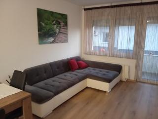 Apartmaji Divji vrt - 4