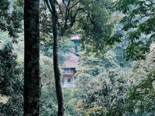 Zeno Village Resort, Near 900 Kandi Wayanad - 9