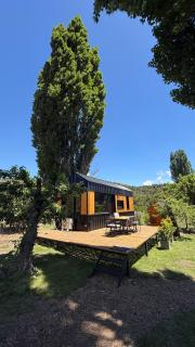 Brisas amarillas - 4