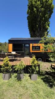 Brisas amarillas - 5