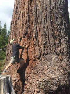 The Great Escape - Port Renfrew & Bunkhouse - 7