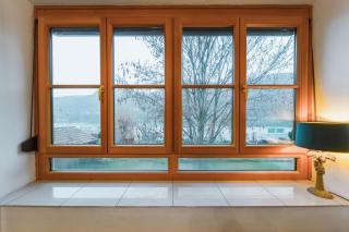 Haus mit Donaublick, Terrasse und Garten - 9