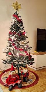 North of Nowhere - apartment near Polar Circle - Rovaniemi - 8