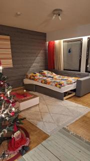 North of Nowhere - apartment near Polar Circle - Rovaniemi - 3