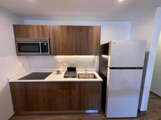 Beach Haus - Playacar The Leaf 16 - 2