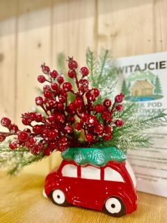 Domek pod Gubałówką LAS i WODA - 1