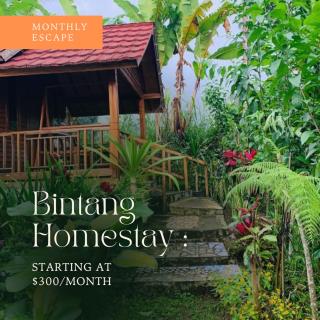 Bintang Homestay - Tetebatu - 8