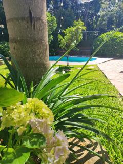 Casaloft994 - Bento Gonçalves - 9