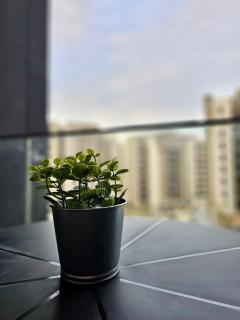 Cozy Studio with Stunning City View in Sheikh Zayed - 8