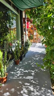 Pousada e SPA Shiva São Sebastião 200mts da praia - 8