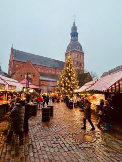 Stylish New Apartment in Riga Old Town - City Centre, Self Check-in, Walkable to Major Attractions - 8