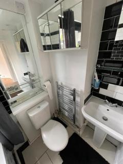 Beautiful flat in Brixton - Londen - 5