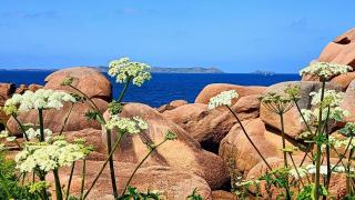 Escale sous le hêtre - 4