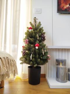 The Nordic Zlatibor - 1