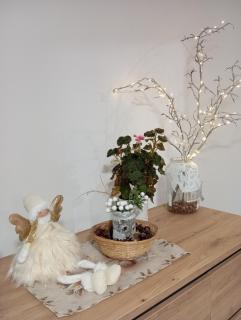 Vila Veles - Dolný Kubín - 3