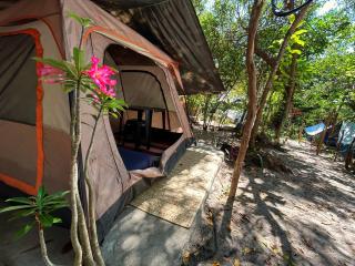 GaiaPipa ComunidArte - 4