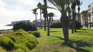 apartmento Torrevieja Lo Ferris - 8