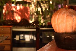 GaiaPipa ComunidArte - 2