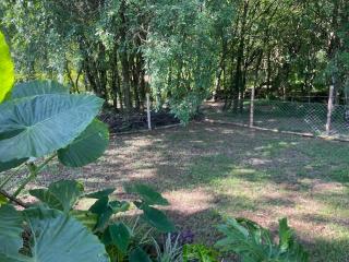 Casa Bella Vista 1 Paraguay - 3