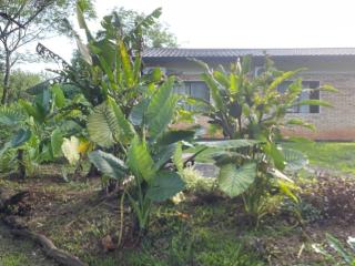 Casa Bella Vista 1 Paraguay - 1