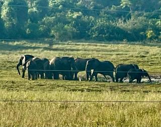 Nyota 11 - Jua Resort - 4