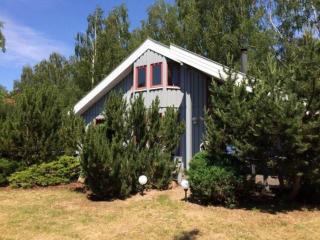 Ferienhaus im skandinavischen Stil - 0