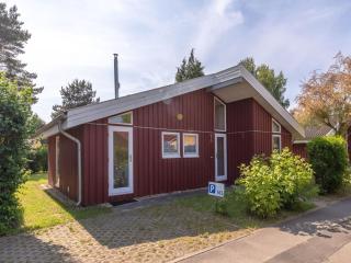 Ferienhaus mit Sauna im Ferienpark Mirow - 4