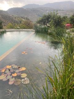 La Calma y La Casita de la Tierra - 6