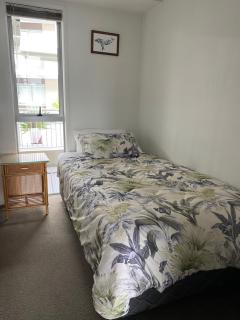 Downtown at the Mount - 1